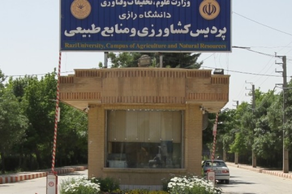 جزئیات کشت گیاه مخدر در دانشگاه رازی چیست؟