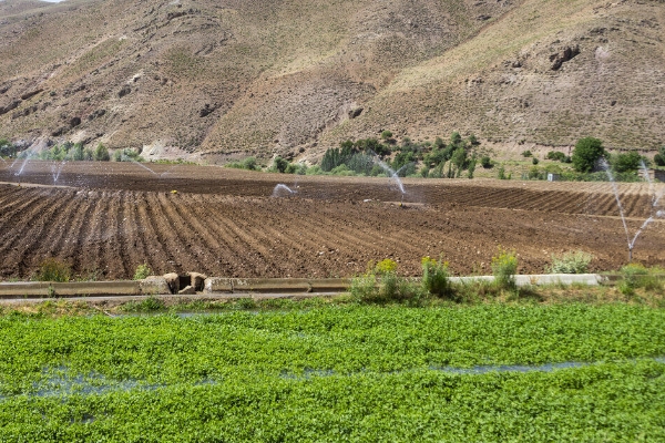 طرح مغفول‌مانده سامانه گرمسیری در اراضی کشاورزی قلعه‌شاهین