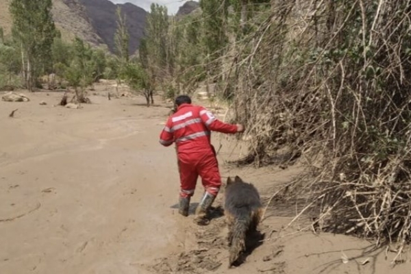 3 استان درگیر سیل و آب‌گرفتگی است