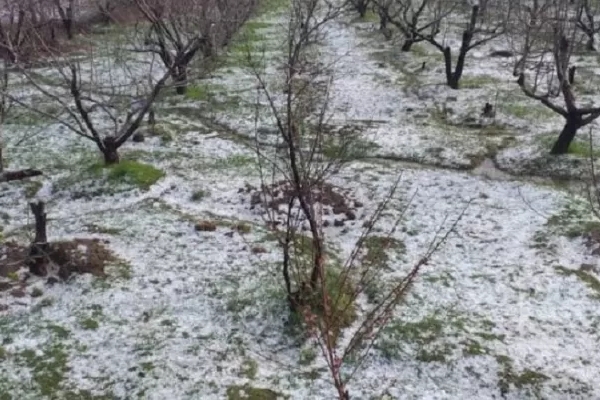 کشاورزان سرپل‌ذهابی خواستار جبران خسارات هستند