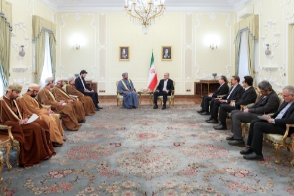 رویکرد عملی ایران گسترش صلح و امنیت در منطقه است