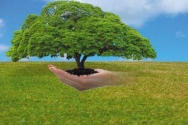 تبیین اهمیت انجمن‌های زیست‌محیطی