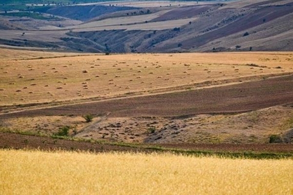 رتبه نخست کرمانشاه در طرح جهش تولید