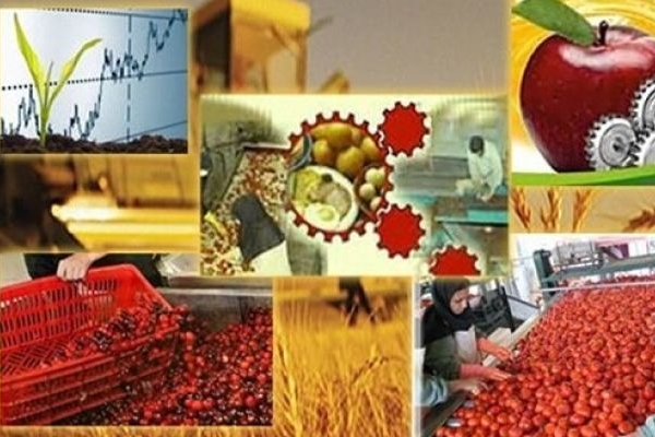 فراهم‌سازی زمینه توسعه صنایع تبدیلی در کرمانشاه