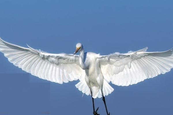 خور «تیاب» زیستگاه پرندگان مهاجر