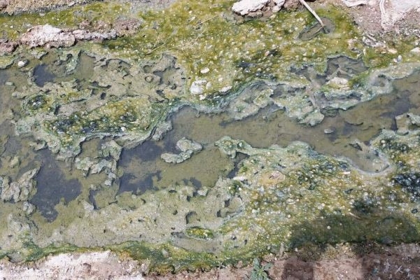 اجرایی‌نشدن دفع فاضلاب در شهرک‌های الحاقی سرپل‌ذهاب