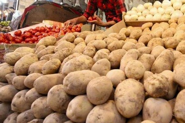 صادرات عامل گرانی سیب‌زمینی در کرمانشاه