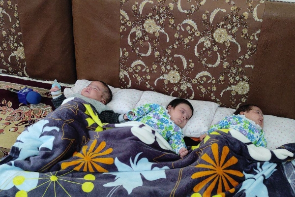 حمایت های لازم از فرزند آوری خانواده ها انجام می گیرد / واگذاری یک قطعه زمین و کمکهای نقدی و غیر نقدی به خانواده سه قلوی شهرستان