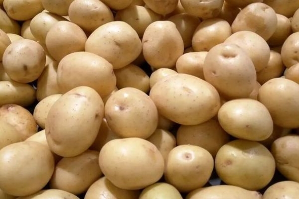 ورود تعزیرات کرمانشاه به التهاب بازار سیب‌زمینی