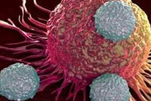 سرطان در مردان بیشتر از زنان است