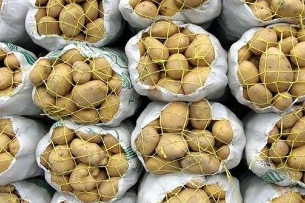 تشدید نظارت بر قیمت‌گذاری سیب‌زمینی در بازار