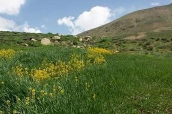 اصلاح و احیای مراتع کرمانشاه با بذرهای بومی