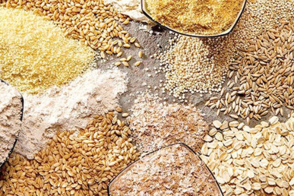 نیاز ماهانه یک میلیون تن نهاده دامی تأمین شد