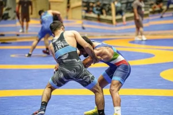 ۱۸ گوش‌ شکسته محک می‌خورند