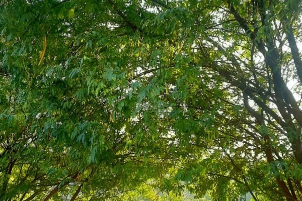 ۴ اثر طبیعی کرمانشاه ثبت ملی شد