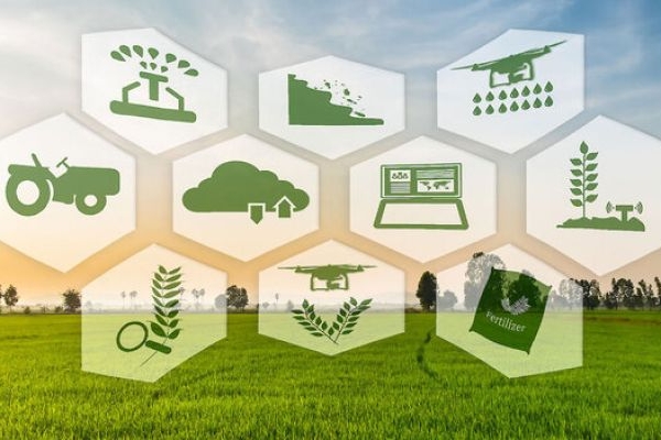 کشاورزی کرمانشاه پس از انقلاب جهش یافت