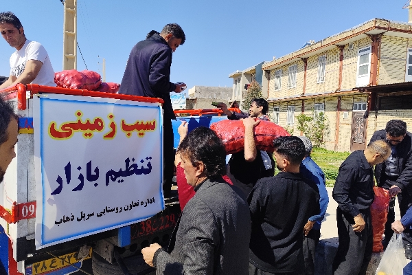 توزیع ۳۰ تنی سیب‌زمینی تنظیم بازار در سرپل‌ذهاب؛ قیمت مصوب ۴۵ هزار تومان