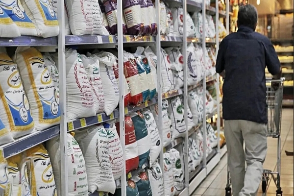 مرز باریک بین "کمک به مردم" و "سودجویی"؛ بازگشت رانت‌خواران با برنج پاکستانی/ چای دبش دیگری در راه است؟