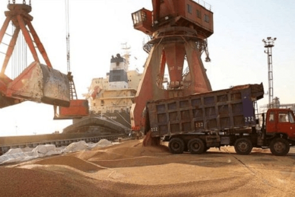 راهکار آقای معاون وزیر برای رفع مشکلات نهاده‌ دامی