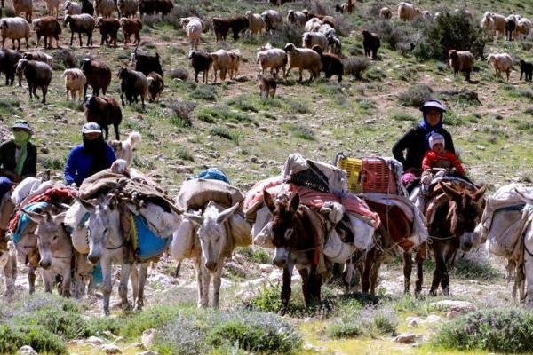استقرار ۳۵۰۰ خانوار عشایری در مناطق قشلاقی کرمانشاه