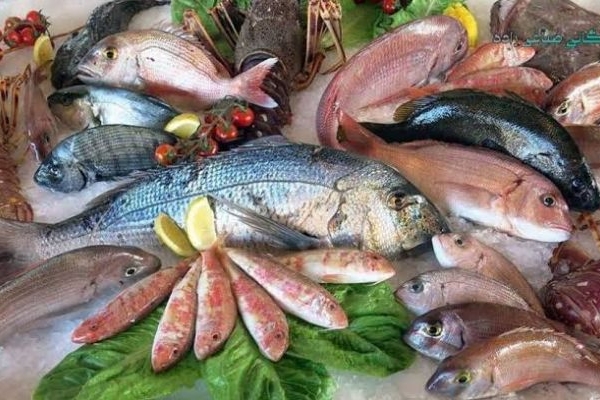 شیلات کرمانشاه پلتفرم «آبزی‌مارکت» را راه‌اندازی می‌کند