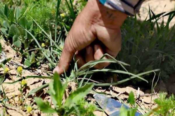 تأثیر فرهنگ خوراک در تفکر و جهان‌بینی
