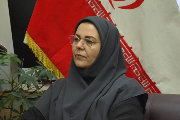 دسترسی رایگان به منابع علمی در کتابخانه‌های کرمانشاه