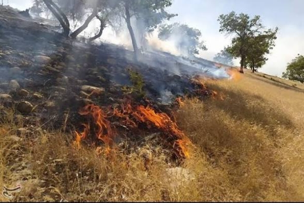 مهار آتش‌سوزی مراتع روستای کل‌داوود با تلاش نیروهای امدادی و مشارکت مردمی